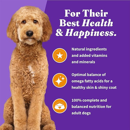 Halo Holistic Dog Food, Complete Digestive Health Cage-Free Chicken and Brown Rice Recipe, Dry Dog Food Bag, Adult Formula, 21-lb Bag