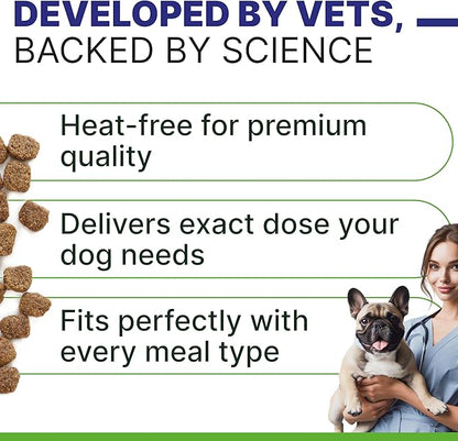 ADVANCED Hemp Hip & Joint Supplement for Dogs - Glucosamine for Dogs - Dog Joint Pain Relief Treats - Chondroitin Turmeric MSM Hemp Oil - Hemp Treats for Joint Health - Senior Mobility Support Chew