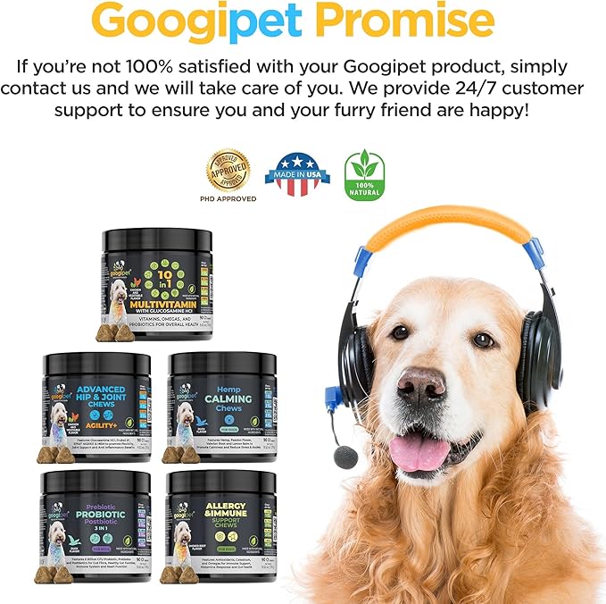 Googipet Hip and Joint Supplement for Dogs - Glucosamine for Dogs – Soft Chews w/Green Lipped Mussels for Dogs, Turmeric for Dog Arthritis, Pain Relief, & Mobility, Ages, & Breeds