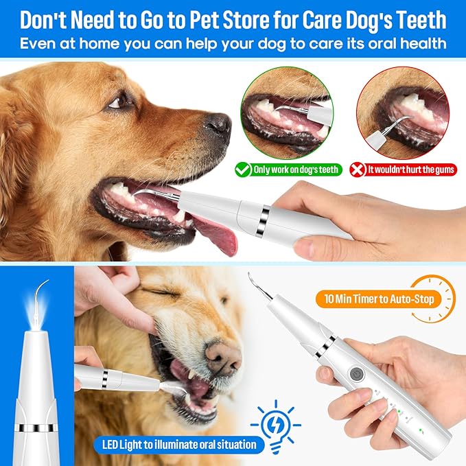 Dog Teeth Cleaning Kit for Pet Teeth Cleaning, Dog Plaque Remover for Teeth, 5 Modes Dog Tartar Remover for Teeth Care to Remove Stains Calculus, 10 in 1 Pet Cleaner Toothbrush (White)