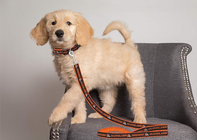 NFL PET Leash, Small, Cleveland Browns Dog Leash, Football Team Leash for Dogs & Cats. A Shiny & Colorful Dog & Cat Leash with Embroidered Team Name/Logo Licensed by the NFL