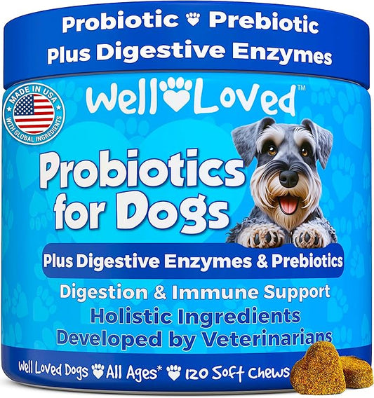 Probiotics for Dogs, Dog Probiotics and Digestive Enzymes, Made in USA, Vet Developed, Dog Probiotic Chews with Prebiotics, Diarrhea Treatment, for Itchy Skin, Gut Health & Gas Relief