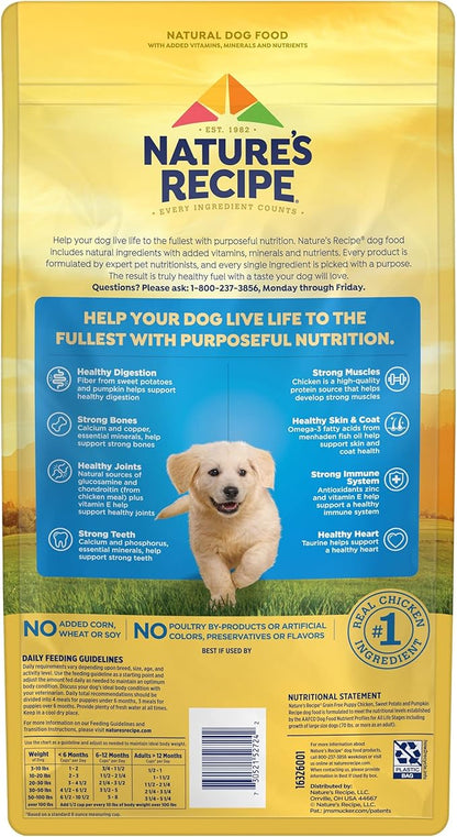 Nature′s Recipe Grain Free Puppy Chicken, Sweet Potato & Pumpkin Recipe Dry Dog Food, 4 lb. Bag