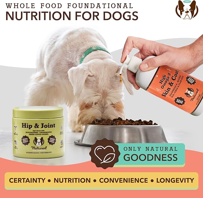 Natural Dog Company Skin & Coat Oil (16 oz.), Supports Skin Health, Fish Oil Supplements for Dogs, Soft Coat, Salmon Oil & Flaxseed Oil, Fatty Acids, Bottle of Dog Fish Oil with pump, Antioxidant