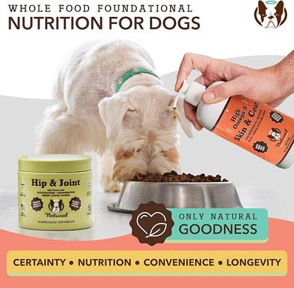 Natural Dog Company Skin & Coat Oil (16 oz.), Supports Skin Health, Fish Oil Supplements for Dogs, Soft Coat, Salmon Oil & Flaxseed Oil, Fatty Acids, Bottle of Dog Fish Oil with pump, Antioxidant