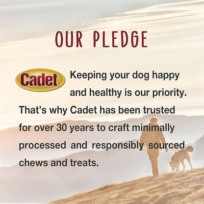 Cadet Gourmet Chicken & Apple Wrapped Dog Treats Wraps - Healthy & Natural Chicken & Apple Dog Training Treats for Small & Large Dogs - Inspected & Tested in USA (28 oz.)