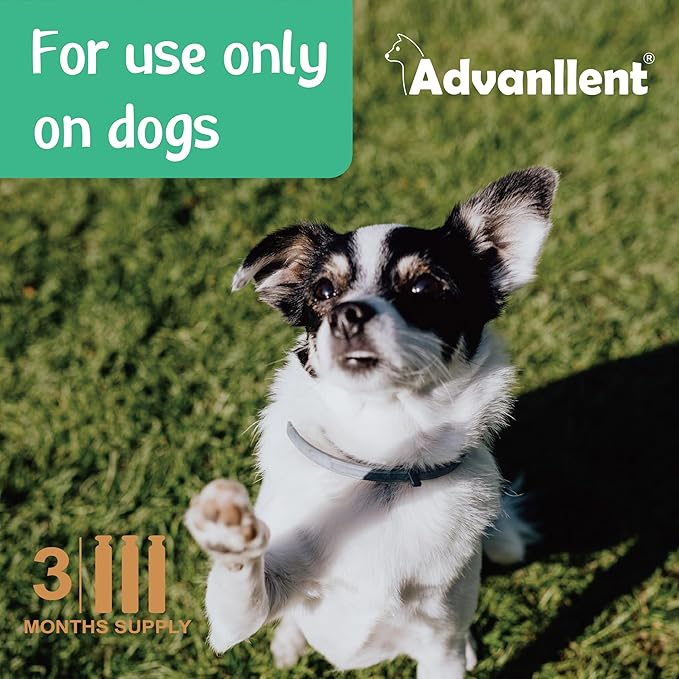 Flea and Tick Prevention for Dogs, Flea and Tick Treatment for Extra Large Dog, Natural Essential Oil, Flea & Tick Control, 89-132 Pounds, 3 Doses