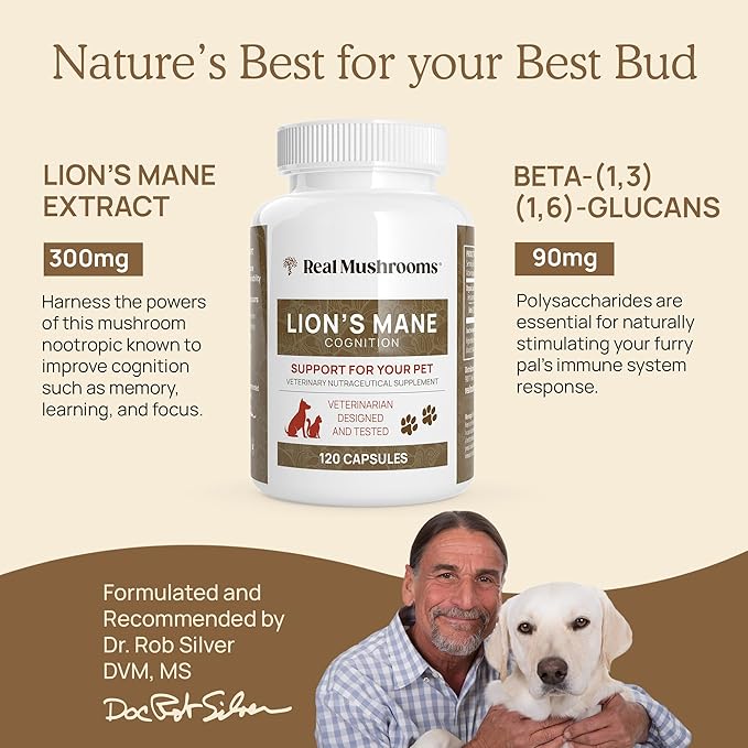 Real Mushrooms Lions Mane Pet Support Mushroom Supplement - Cat & Dog Vitamins and Supplements for Cognition & Memory Support - Vet Approved Mushroom Complex Capsules (120ct) Gluten-Free, Non-GMO
