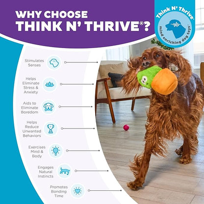 Outward Hound Nina Ottosson Snack Palz Interactive Plush Dog Puzzle with Treat Ball, Dog Enrichment Toys, Stuffable Dog Toy, Plush, Cactus, Green