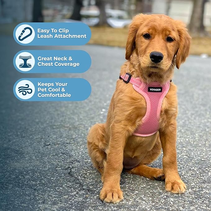 Best Pet Supplies Voyager Adjustable Dog Harness with Reflective Stripes for Walking, Jogging, Heavy-Duty Full Body No Pull Vest with Leash D-Ring, Breathable All-Weather - Harness (Pink), XL