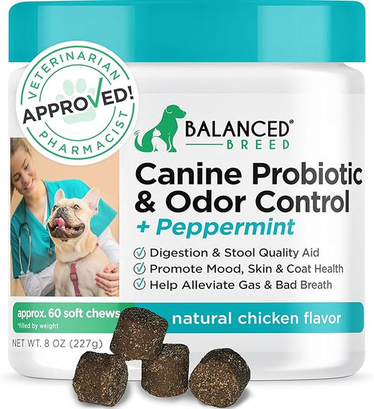 Balanced Breed Dog Probiotics Digestive Health Odor Control Made In USA Non-GMO Vet-Pharmacist Approved Dog Probiotic Chews Anti-diarrhea Dog Gut Health Pet Probiotics Dogs Itchy Skin Yeast Supplement