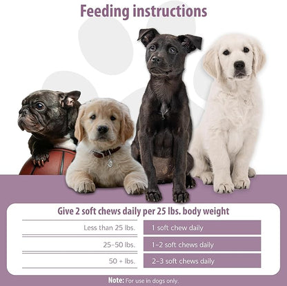 Dog Skin & Coat Supplement Chews - Skin Health Chewable Supplement for All Ages & Breeds - Promotes Healthy Skin & Lustrous Coat - Rich in Omega Fatty Acids & Vitamins – 60 Chews