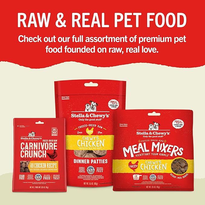 Stella & Chewy's Dental Delights with Freeze-Dried Chicken - Large Dental Treats for Dogs, Single Serve