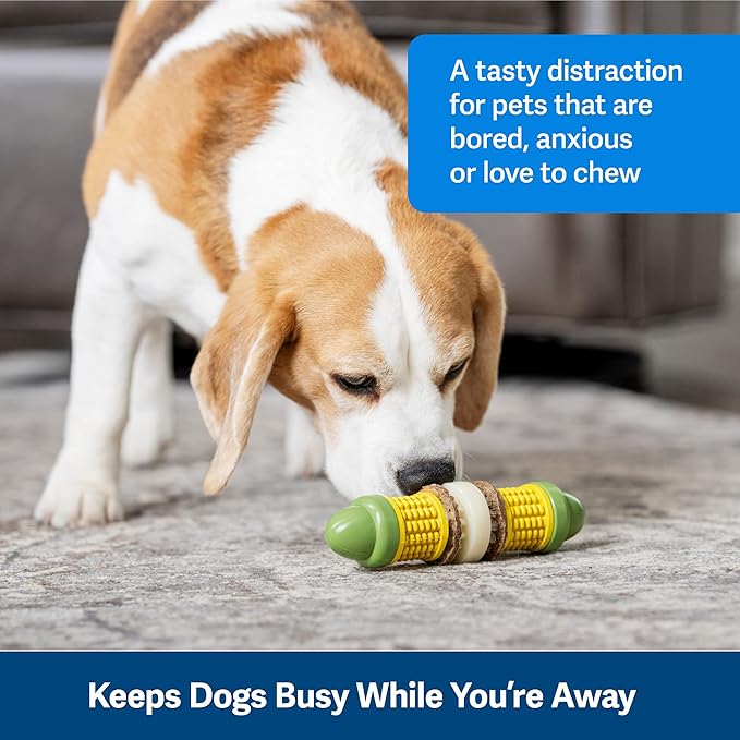 PetSafe Busy Buddy Cravin’ Corncob Dog Toys – Treat Ring Holding Chew Toy – BPA Free Rubber – Butter Scented – Interactive Pet Puzzle for Boredom or Separation Anxiety – Small to Large Dogs
