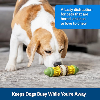 PetSafe Busy Buddy Cravin’ Corncob Dog Toys – Treat Ring Holding Chew Toy – BPA Free Rubber – Butter Scented – Interactive Pet Puzzle for Boredom or Separation Anxiety – Small to Large Dogs