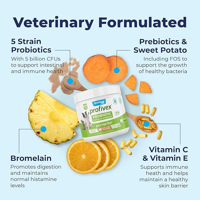 Vetnique Labs Profivex Probiotics for Dogs All Natural Dog Chews & Powder for Digestive Health Probiotic Supplements for Dogs 5 Strains of Probiotics & Prebiotics (Powder, 8.5oz)