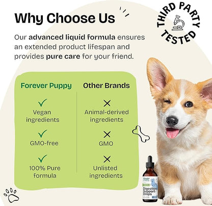 Digestion Drops for Dogs - Liquid Digestive Supplements w/Fennel Seeds & Licorice Root - Fiber for Dogs - Herbal Dog Vitamins and Supplements for Digestive Health & Gut Support 4 oz