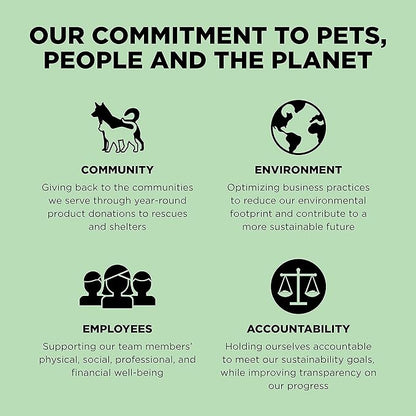 GO! SOLUTIONS Skin + Coat Care - Dry Dog Food, 22 lb - Turkey Recipe with Grains for All Life Stages - Complete + Balanced Nutrition for Dogs