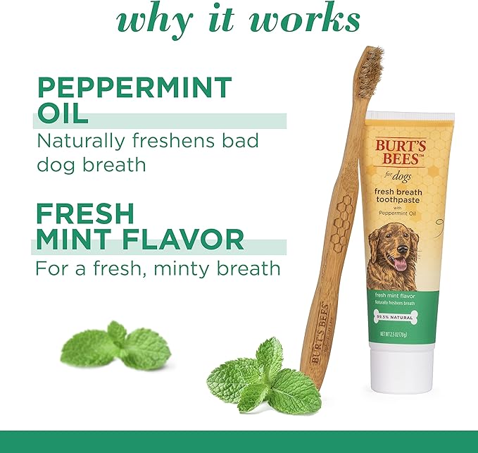 Burt's Bees for Pets Fresh Breath Toothpaste for Dogs with Peppermint Oil - 99.5% Naturally Derived Dog Toothpaste in Fresh Mint Flavor - Dog Oral Care Dog Toothpaste, 2.5 Oz