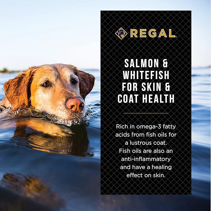 Adult Ocean Recipe (Salmon) All Natural, Slow Cooked Whole Grain Dry Dog Food for All Breeds and Sizes of All Life Stages - Made in The USA, 4 LB Bag