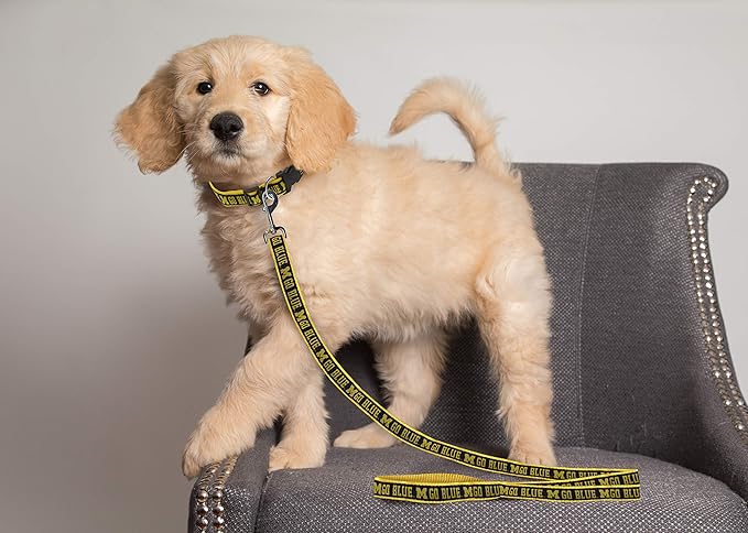 Pets First Collegiate Pet Accessories, Dog Leash, Michigan Wolverines, Small