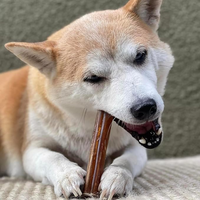 Pupford Thick Bully Sticks for Dogs & Puppies, Smoked for Improved Smell, Natural, Long-Lasting, Single Ingredient Chews for Small & Medium Breeds (6", 10 Count)