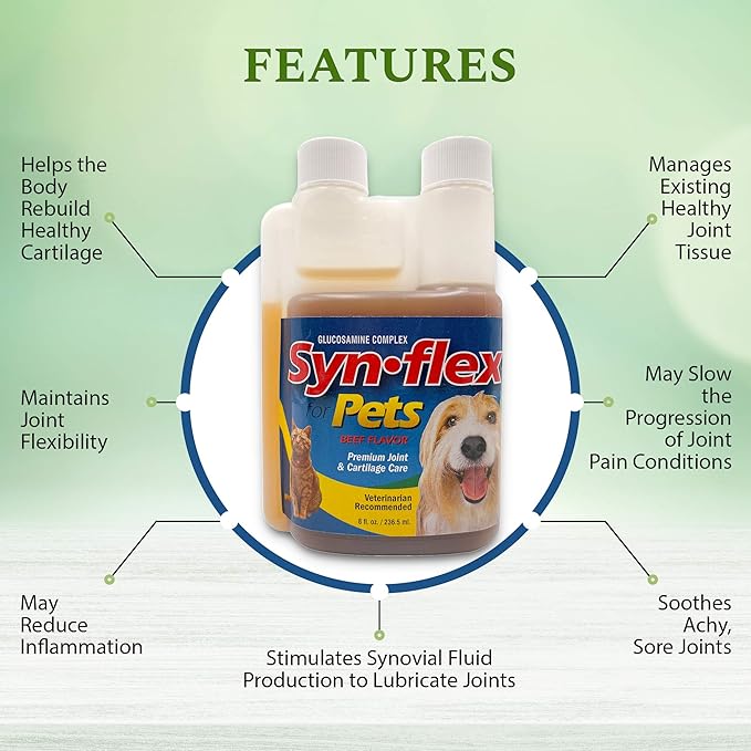 America Synflex for Pets - Liquid Glucosamine Joint Complex for Dogs, Cats - Senior Canine & Feline Chondroitin Juice Care Supplement - Helps Support Joint and Cartilage Health - Beef Flavor