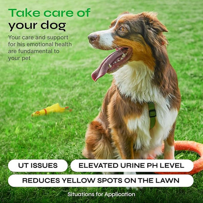 Dog Urine Neutralizer for Lawn - Grass Burn Spot Chews for Dogs - Dog Pee Lawn Spot Saver Caused by Dog Urine - Digestive Health Support Soft Chews - Grass Treatment Rocks - Grass Savers for Dog Urine