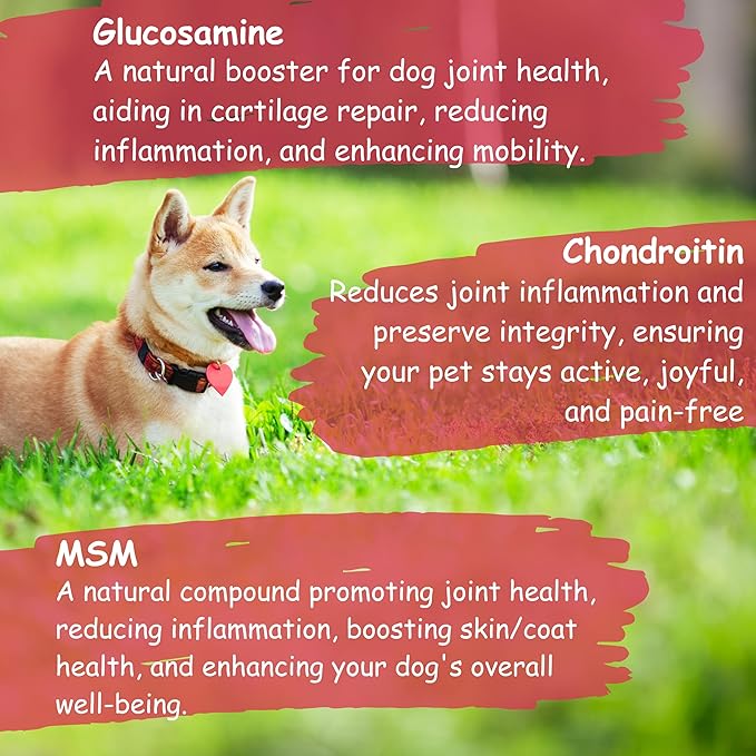 Glucosamine Chondroitin for Dogs EXTRA STRENGTH 160 ct - Hip and Joint Supplement for Dogs with Vit D/E & MSM - Dog Joint Supplement for Small, Large Breed, arthritis Pain Relief & Senior Dogs Support