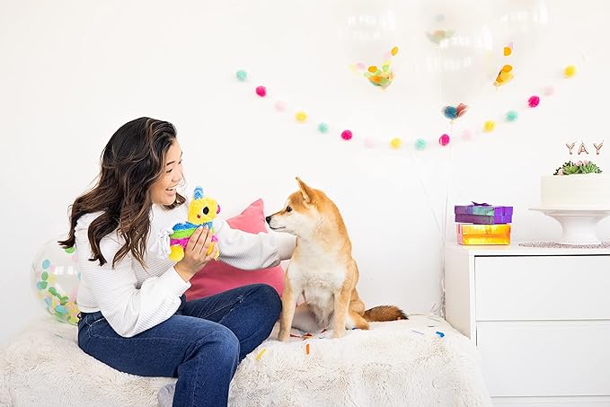 Pearhead Puppy Pinata Dog Toy, Rope Tug Toy for Dogs, Colorful Interactive Dog Toys, Party Pinata Toy for Dogs, Plush Chew Toy, Pet Owner Must Have Toy
