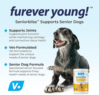 Vetnique Seniorbliss Senior Dog Joint Supplement with Glucosamine and Chondroitin for Dogs Joint Support and Healthy Cartilage Development - for Small & Large Breeds (Hip & Joint Chew, 120ct)