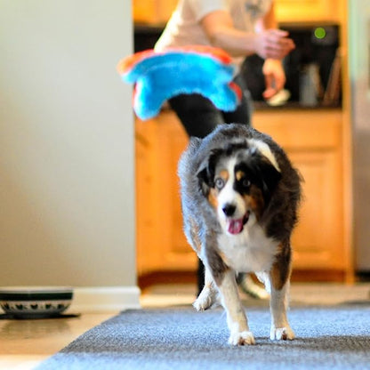 ChuckIt! Indoor Fetch Squirrel Dog Toy (9 Inch), Orange and Blue