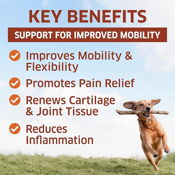 Hip and Joint Supplement for Dogs - Glucosamine for Dogs Soft Chews 120 ct - Glucosamine Chondroitin for Dogs with MSM, Hemp, Turmeric & Omega 3 - Dog Pain Relief