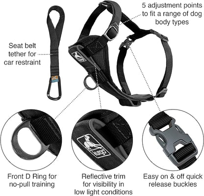 Kurgo Tru-Fit Smart Harness, Dog Harness, Pet Walking Harness, Quick Release Buckles, Front D-Ring for No Pull Training, includes Dog Seat Belt Tether (Black, Medium)