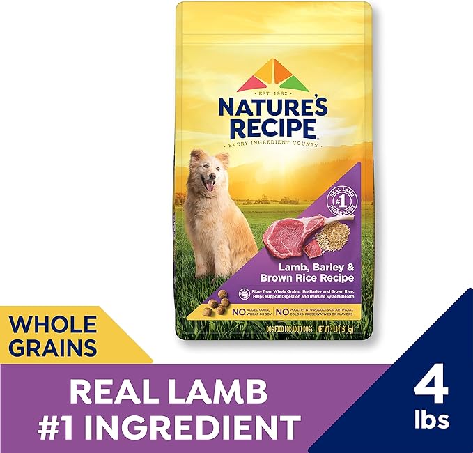 Nature′s Recipe Lamb, Barley & Brown Rice Recipe Dry Dog Food, 4 lb. Bag