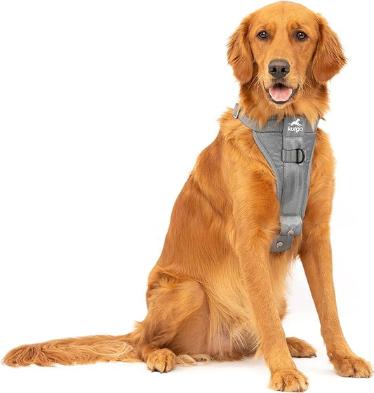 Kurgo Tru-Fit Enhanced Strength Dog Harness - Crash Tested Car Safety Harness for Dogs, No Pull Dog Harness, includes Pet Safety Seat Belt, Steel Nesting Buckles (Charcoal, X-Large)