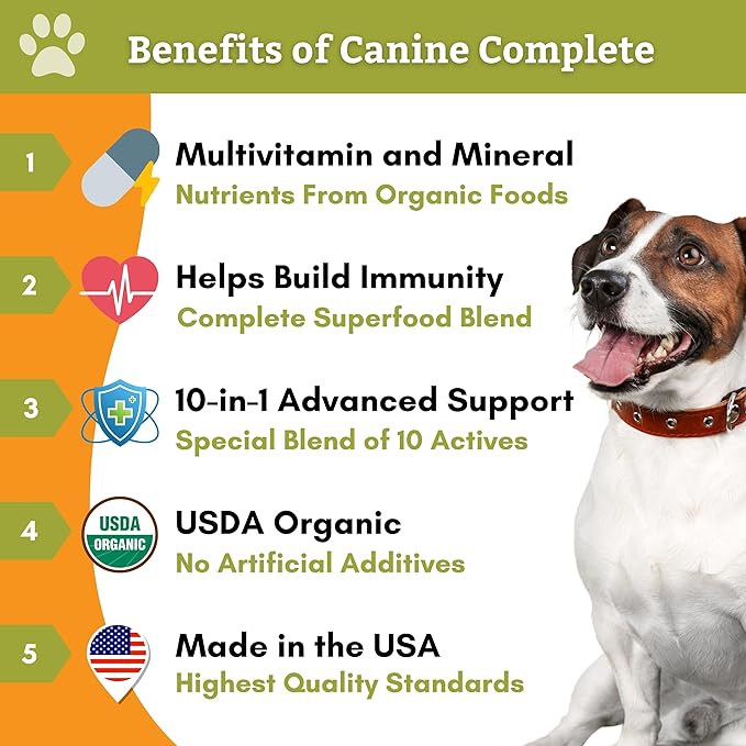 Wholistic Pet Organics Canine Complete: Organic Pumpkin Supplement for Dogs 2lb - Pumpkin Powder for Dogs - Fiber Supplement for Dogs - USDA Certified Organic - Supports Digestion, Heart & Gut Health