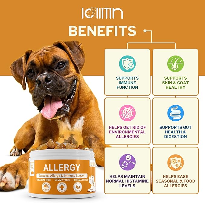 Allergy Relief for Dogs - 120 Chews - Seasonal Allergy, Immune Support, Skin and Coat Health - All Natural, Made in USA