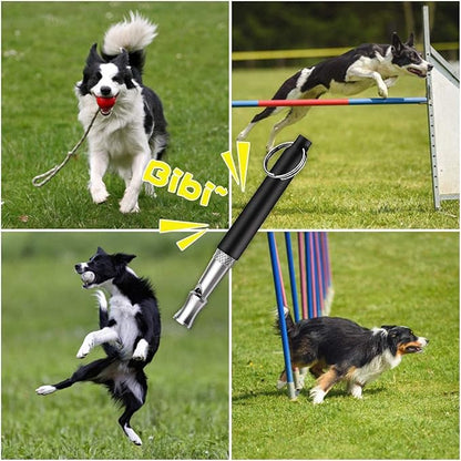 6 Pack Dog Whistle with Lanyard Stop Neighbors Dog from Barking Adjustable Ultrasonic Silent Dog Whistle Professional Dog Training Whistles for Dog Daily Training