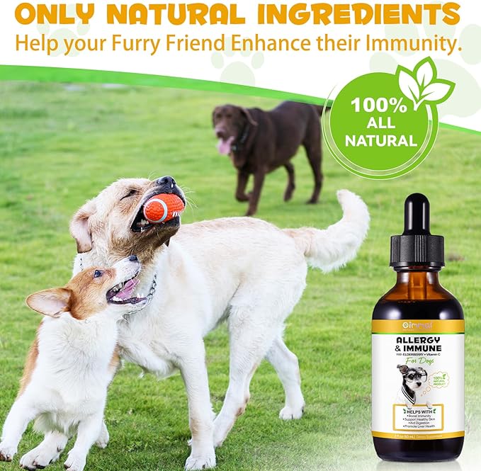 Allergy Immune Anti Itch & Hot Spots for Dogs, Dog Itch Relief, Itch Relief for Dogs, Skin & Coat Immune Health Supplement for Dogs, Dog Allergy Relief with Elderberry Vitamins (2.02 Oz)