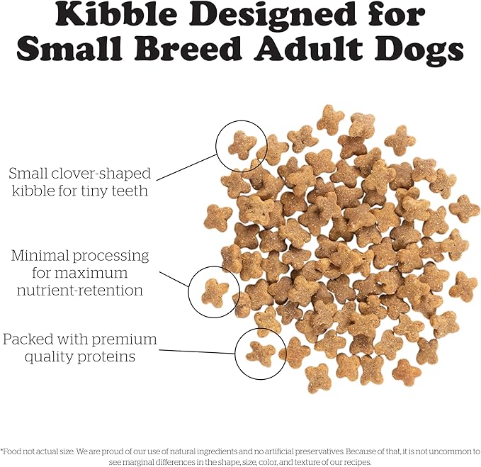 Now Fresh Grain Free Small Breed Adult Dog Food, 12 lb and Now Fresh Grain Free Small Breed Senior Dog Food, 22 lb