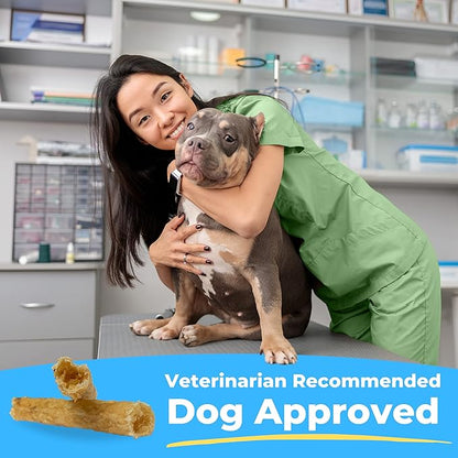 Soft Rawhide Chews | Safe Dental Treats for Small Dogs | Vet VOHC Approved | Daily Bone Cleans Teeth & Gums Fresh Breath Oral Health Support | USA Made | (Small Dogs / 12 Count)