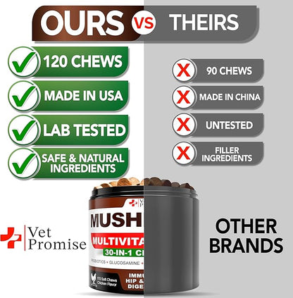 Mushroom for Dogs - 170 Chews - Turkey Tail Mushroom for Dogs - Mushroom Supplement for Dogs - Lions Mane - Reishi - Immunity Support Multivitamin - Joint Health - Energy - Gut - Skin - Dog Vitamins
