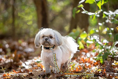 MLB PET Leash, Small, Oakland Athletics Dog Leash, Baseball Team Leash for Dogs & Cats. A Shiny & Colorful Dog & Cat Leash with Emboridered Team Name/Logo Licensed by the MLB