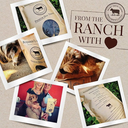Benjamin's Cattle Single Ingredient - Organic Grass FED & Finished Beef Liver Dog Treats - Hand Made Artisan Dog Treats - Healty Dog Chews - Treats for Dogs Made in USA - Beef Jerky Dog Treat – 5oz