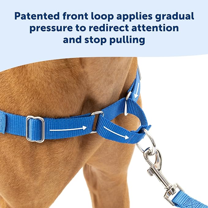 PetSafe Easy Walk Dog Harness - No Pull Dog Harness - Medium, Deep Purple
