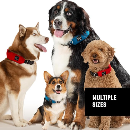 Nite Ize Raddog All-in-One Collar and Leash Combo - Heavy-Duty Dog Collar with Built-in Retractable Leash - 20" to 25" Collar - Blue, X-Large