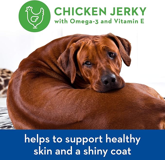 Spot Farms Chicken Jerky Healthy All Natural Dog Treats Human Grade For Skin And Coat 12 oz