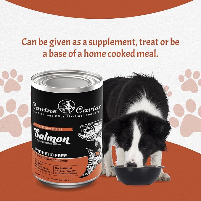 Canine Caviar Wet Dog Food - Salmon Flavored Canned Dog Food 12 Pack (12 oz), Grain and Synthetic Free Gourmet Topper, Wet Dog Food for Small Dogs, Medium Dogs, and Large Dogs