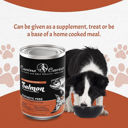Canine Caviar Wet Dog Food - Salmon Flavored Canned Dog Food 12 Pack (12 oz), Grain and Synthetic Free Gourmet Topper, Wet Dog Food for Small Dogs, Medium Dogs, and Large Dogs